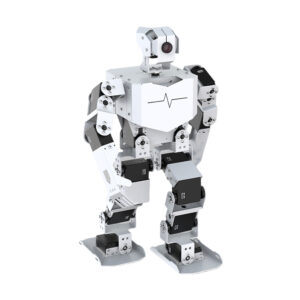 Bipedal Robot