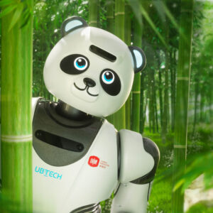 UBTECH Panda Robot