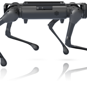 Unitree Aliengo Quadruped Robot