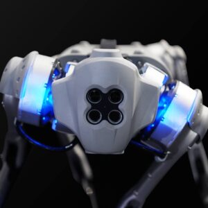 Go1 Bionic Quadruped Robot