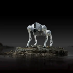 Unitree Go2 Quadruped Robot