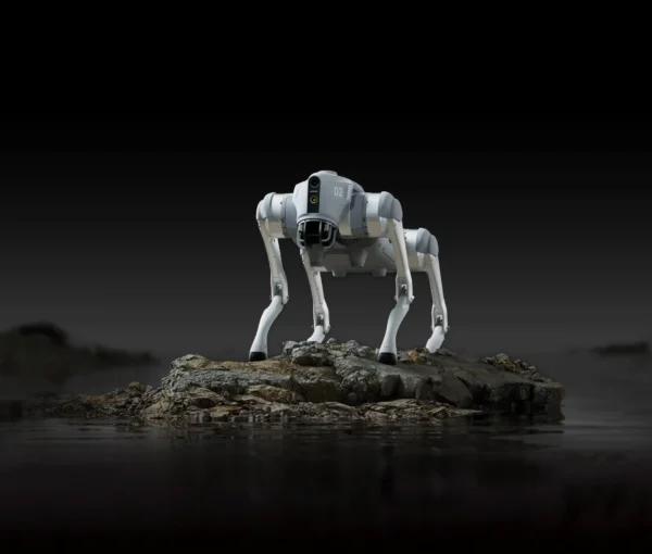 Unitree Go2 Quadruped Robot